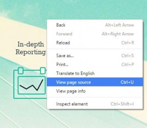 View Page Source
